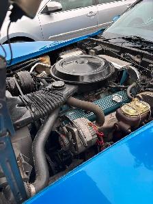 1977 Corvette  L-48, C-3 - Photo 6