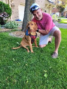 DAVE THE DOG WALKER