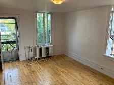 1 Bedroom Sandy Hill Apartment for Rent (508 Besserer St) - Photo 5