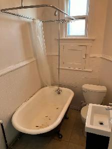 1 Bedroom Sandy Hill Apartment for Rent (508 Besserer St) - Photo 6