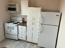1 Bedroom Sandy Hill Apartment for Rent (508 Besserer St) - Photo 10