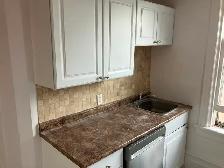 1 Bedroom Sandy Hill Apartment for Rent (508 Besserer St) - Photo 11