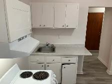 Sandy Hill Bachelor/Studio Apartment for Rent (257 Daly Ave) - Photo 8