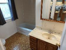 3 Bedroom Sandy Hill Apartment for Rent (508 Besserer St) - Photo 3