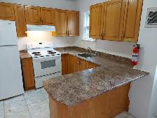 3 Bedroom Sandy Hill Apartment for Rent (508 Besserer St) - Photo 5