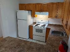 3 Bedroom Sandy Hill Apartment for Rent (508 Besserer St) - Photo 6
