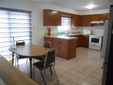 LQQK - Large Clean Furnished Room for Rent - Photo 4