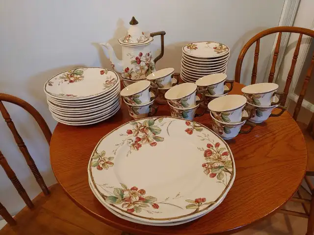 Set de vaisselle ( dessert/goûter ) VILLEROY & BOCH ) Allemagne