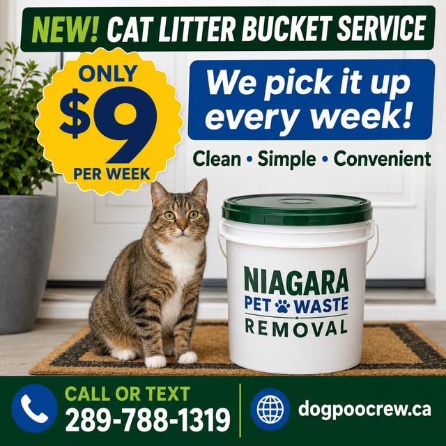 Attention Cat Owners