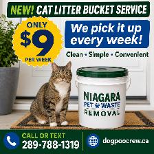 Attention Cat Owners