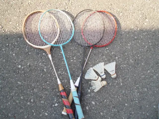 BADMINTON  SET-  RACQUETS AND BIRDS