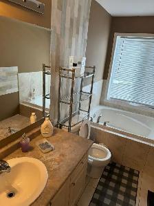 Masterbedroom with Ensuite Bath Brampton $1000 Mt Pleasant - Photo 10