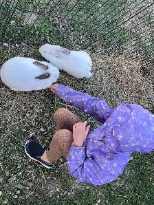 Exotic Pet Sitting - Photo 9