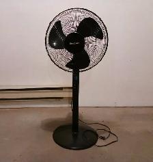 Honeywell Quietset 5 pedestal fan - Photo 2
