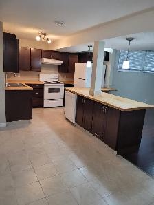 Basement for Rent