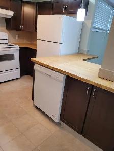 Basement for Rent - Photo 9