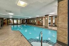 Square One - Spacious 1 Bdrm Den Condo for rent - Photo 4