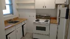 1 Bedroom Plus Den Glebe Apartment for Rent (585 O'Connor St) - Photo 3