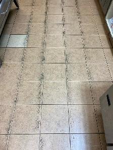Kitchen Floor Tile and Grout Cleaning $150 - Photo 2
