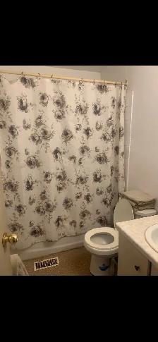 room for rent near cambrian