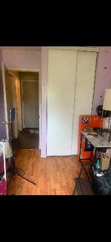 room for rent near cambrian - Photo 3