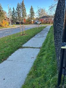 $675-$800 female student private rooms immediate occupancy  poss - Photo 10