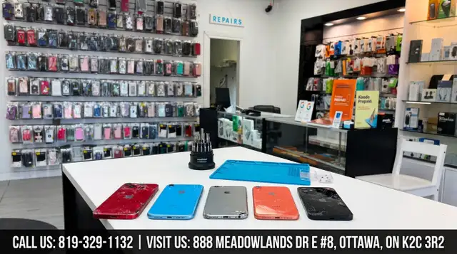Accidentally Dropped Your Phone? We’re Here to Help You Out!