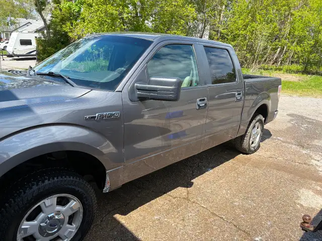 2010 Ford F150
