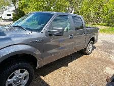 2010 Ford F150