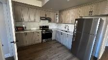 2 Bedroom Basement Available from 15/31 Aug in Kleinburg Vaughan