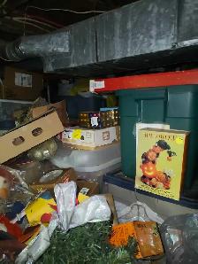 The JUNK has Gotta Go! - Photo 3