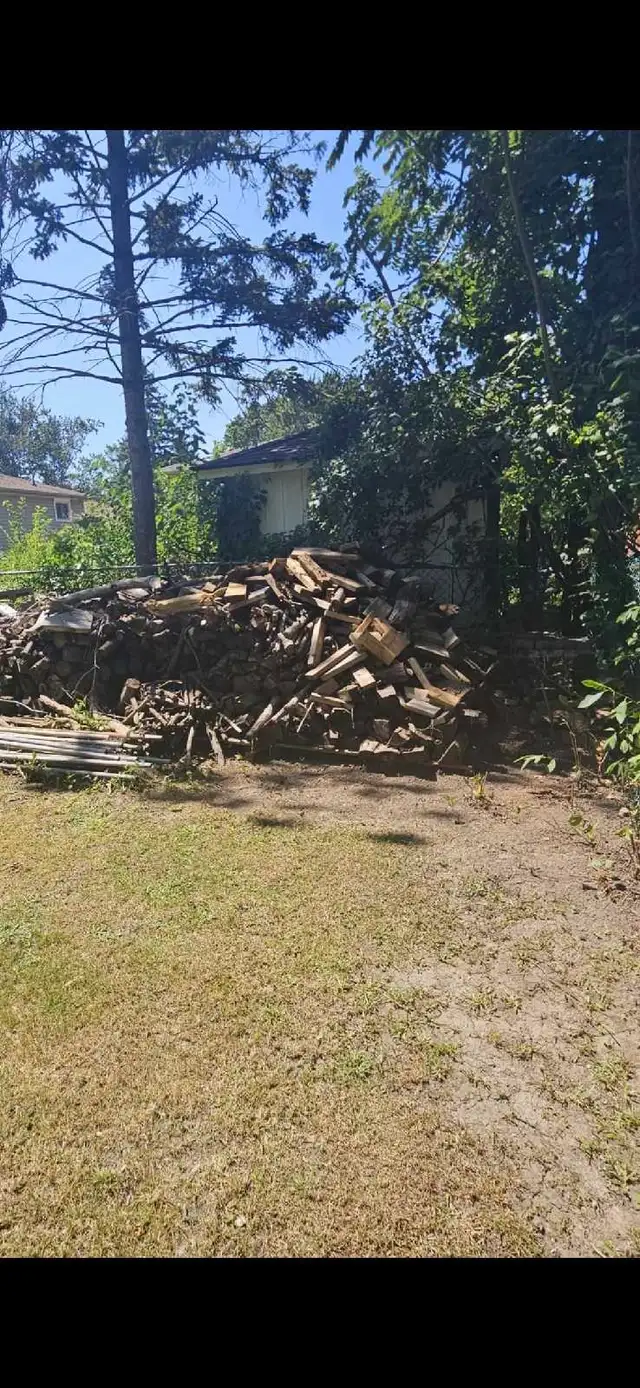 Free firewood