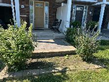 grass cutting - Photo 2