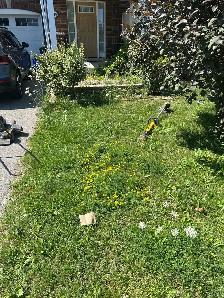 grass cutting - Photo 3