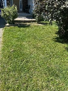 grass cutting - Photo 4