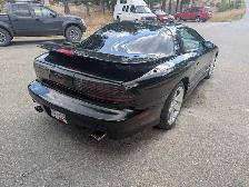 1997 Pontiac Firebird Trans Am - Photo 5