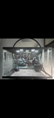 30 gallon Aquarium tank, including top lid/light