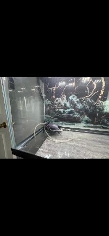 30 gallon Aquarium tank, including top lid/light - Photo 3
