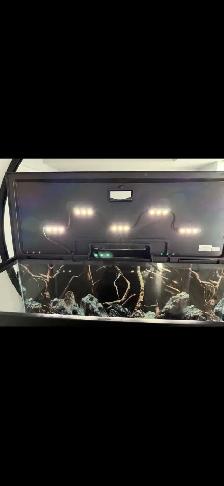 30 gallon Aquarium tank, including top lid/light - Photo 5