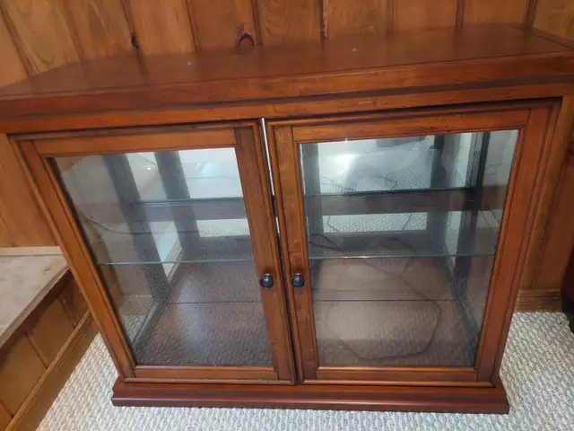 Collectible Display Cabinet