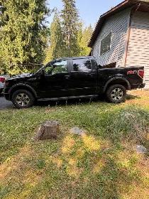 2014 F150 FX4 5.0L - Photo 2