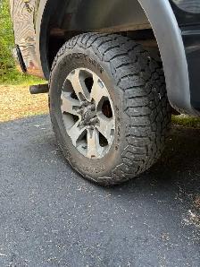 2014 F150 FX4 5.0L - Photo 8