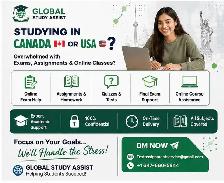 Online Course Help Assignment Help All Subjects 100% Pass