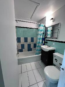Downtown Near McGill All Included Furnitured Studio for Rent ！ - Photo 9