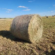 Hay for Sale