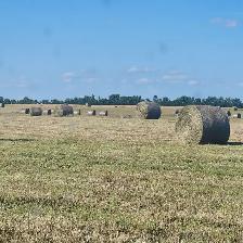 Hay for Sale - Photo 2