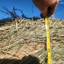 Hay for Sale - Photo 3