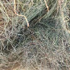 Hay for Sale - Photo 5