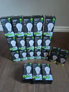 Brand New Noma LED Light Bulbs For Sale - Photo 2