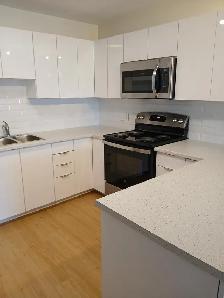 Available Spacious 2 Bedroom August 15 - Photo 2